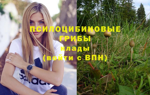 MESCALINE Абинск