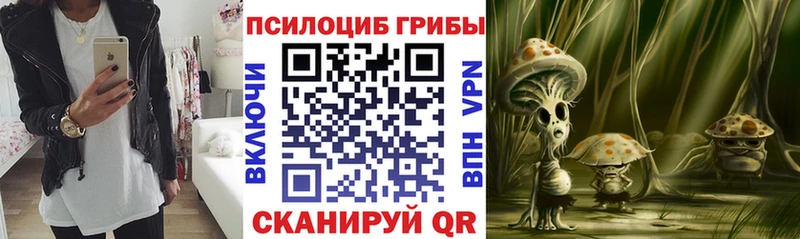 кракен ONION Донской Галлюциногенные грибы Cubensis