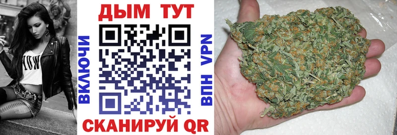Каннабис ГИДРОПОН  Донской 